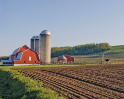 Properties Classed Agricultural or Used for Ag Purposes Get a Tax Break